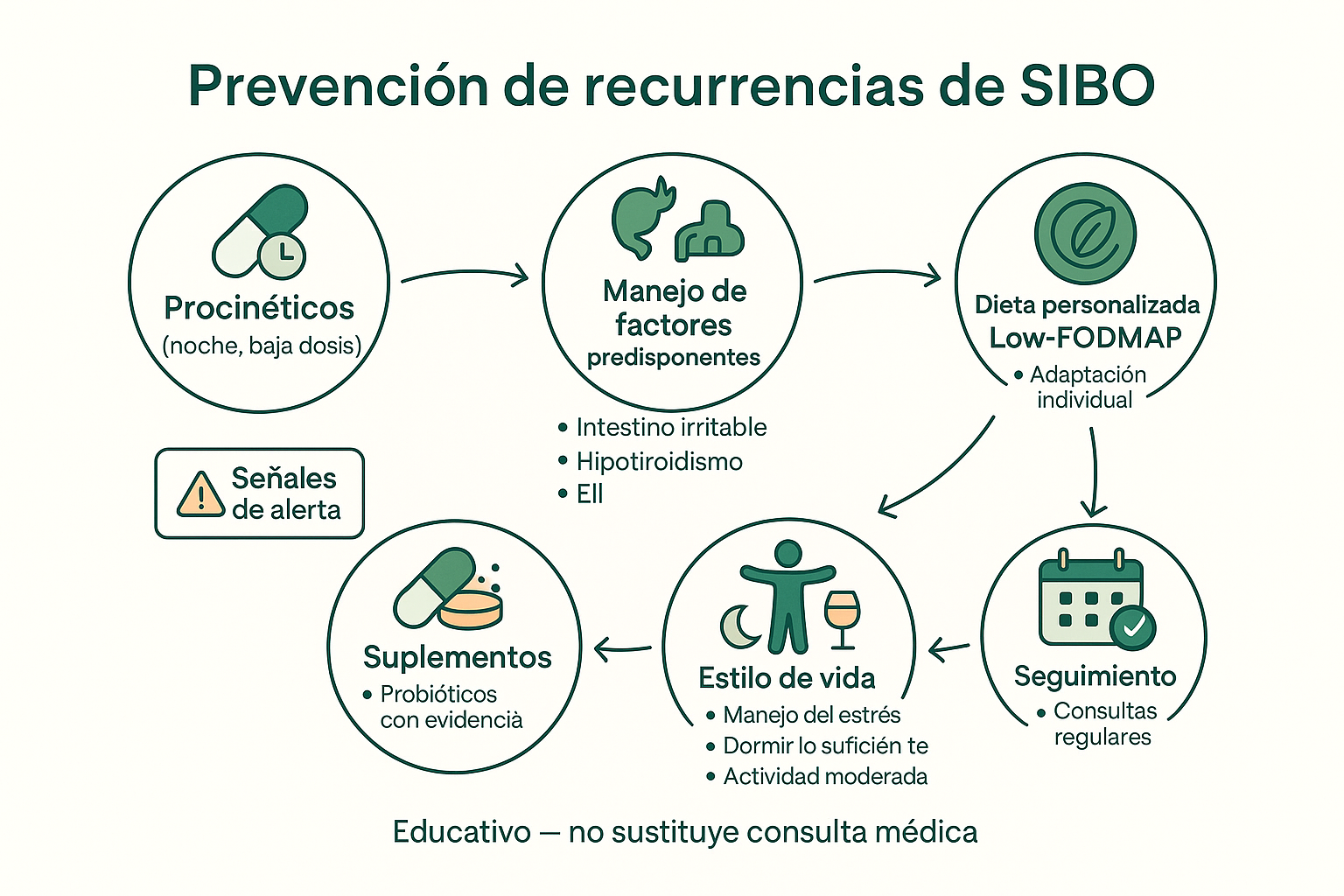 Infografía de prevención mostrando las múltiples estrategias para prevenir recurrencia de SIBO