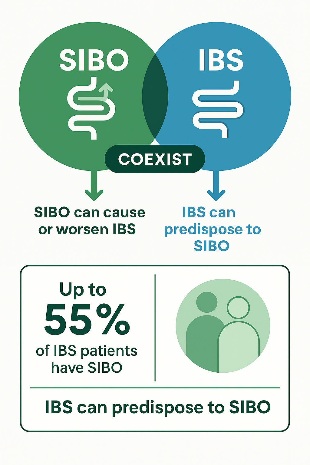 Infografía visual mostrando la relación entre SIBO y SII