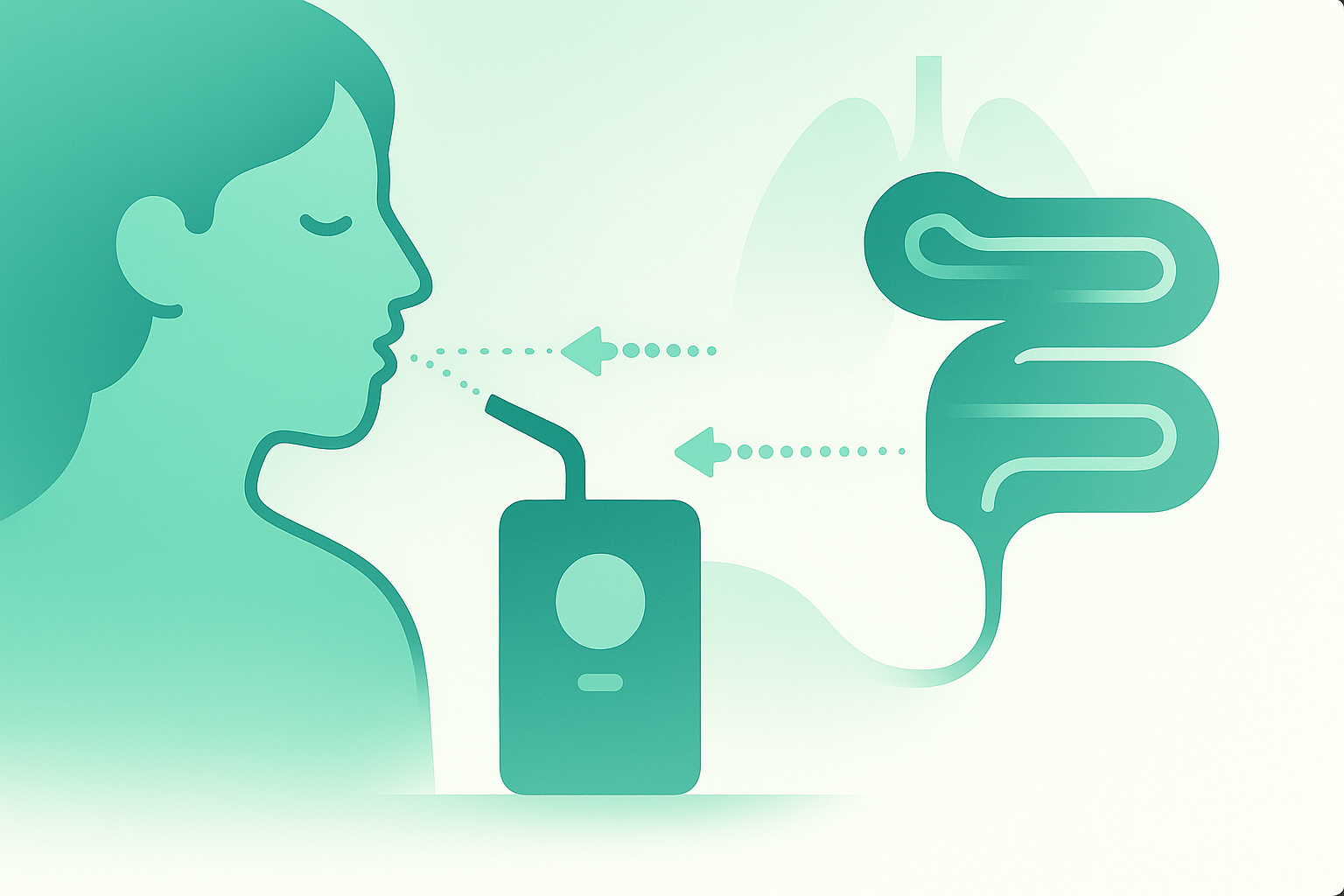 Test de Aliento para SIBO: Guía Completa