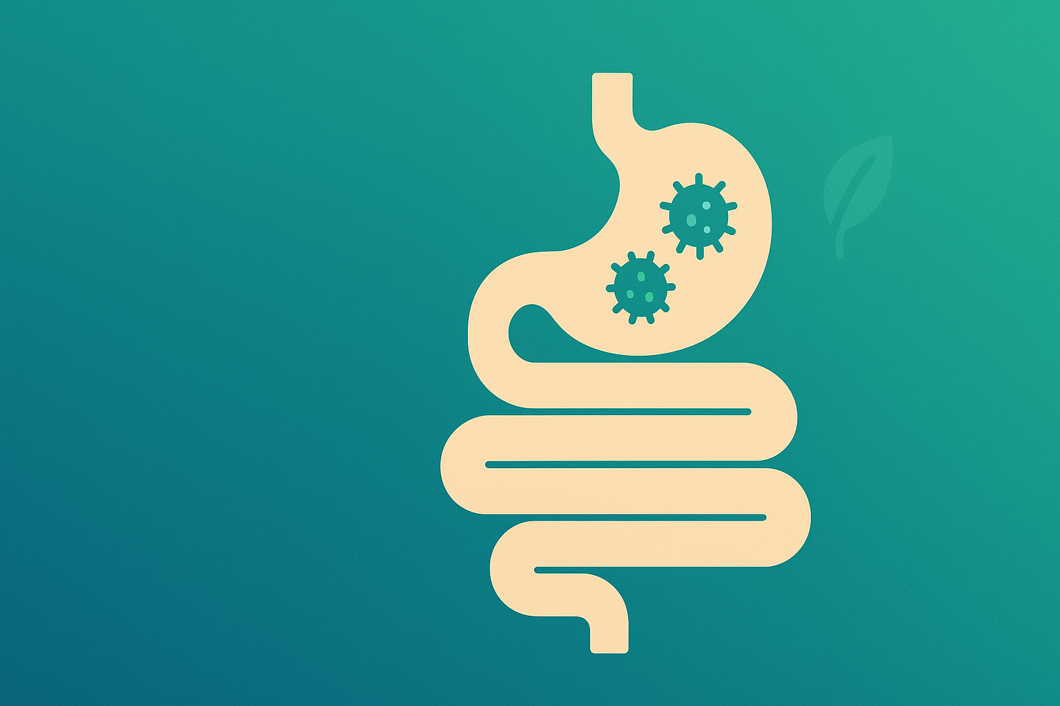 ¿Qué es el SIBO? Guía Completa