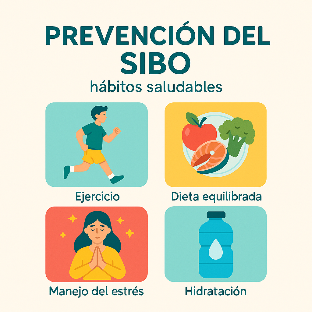 Infografía de prevención del SIBO mostrando estrategias de estilo de vida saludable
