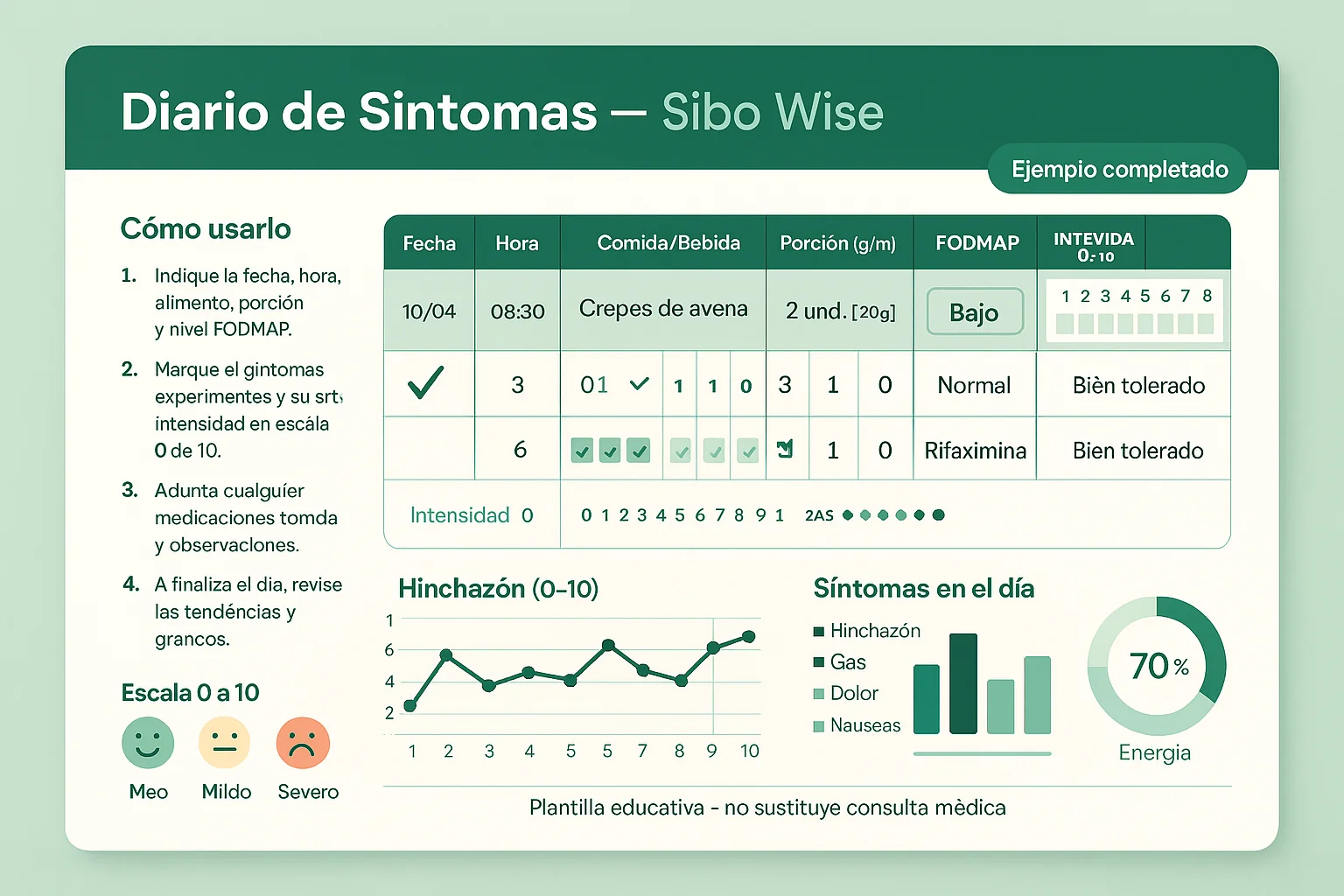 Plantilla visual de diario de síntomas con campos claramente marcados