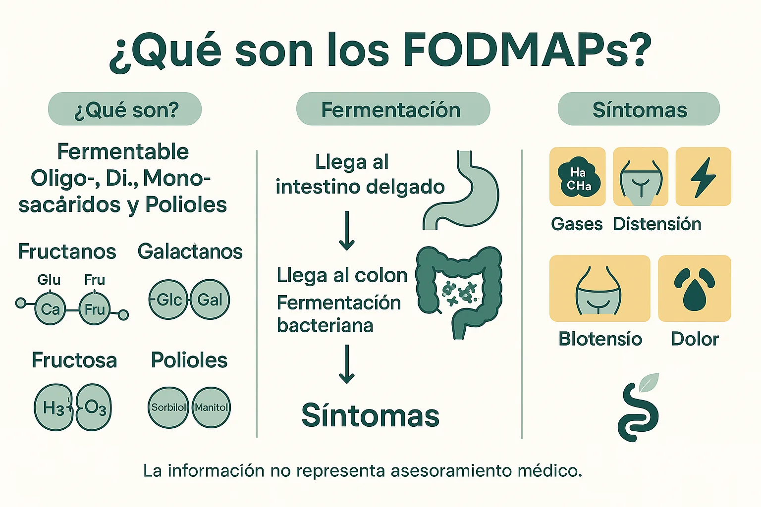 Diagrama visual explicando qué son los FODMAPs, mostrando la estructura molecular y cómo causan síntomas