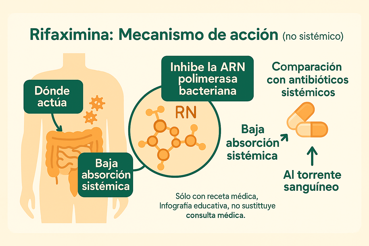Infografía farmacológica mostrando cómo funciona la rifaximina a nivel molecular