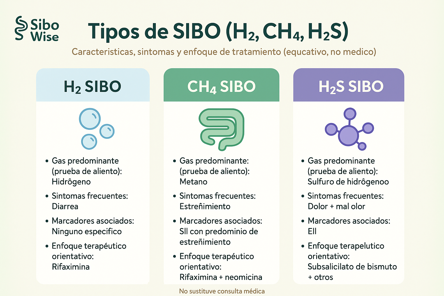 Infografía comparativa mostrando los tres tipos de SIBO